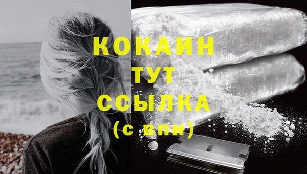 сатива Абаза