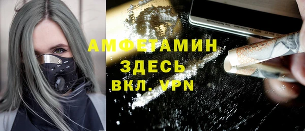 сатива Абаза