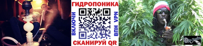 Бошки марихуана OG Kush Углегорск
